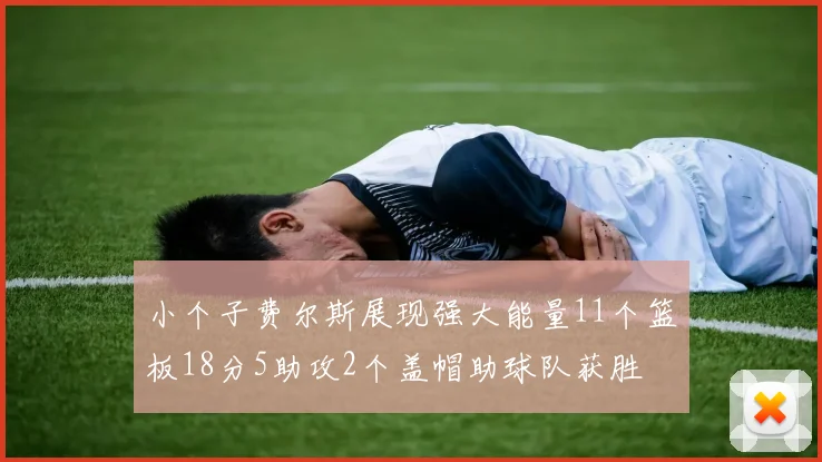 小个子费尔斯展现强大能量11个篮板18分5助攻2个盖帽助球队获胜